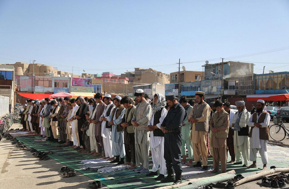 ????? ????? ?????? ?? ???? ?????    