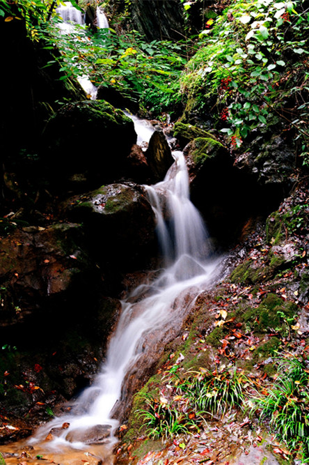 ????? ?????? ????? ??? ?? ???    