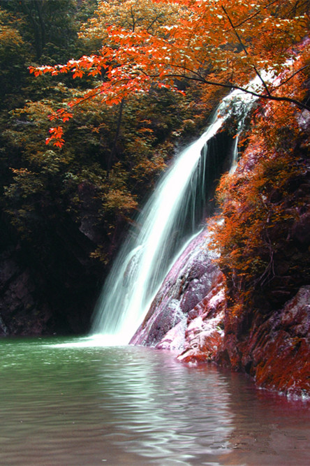 ????? ?????? ????? ??? ?? ???    