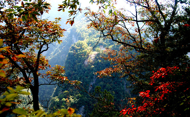 ????? ?????? ????? ??? ?? ???    