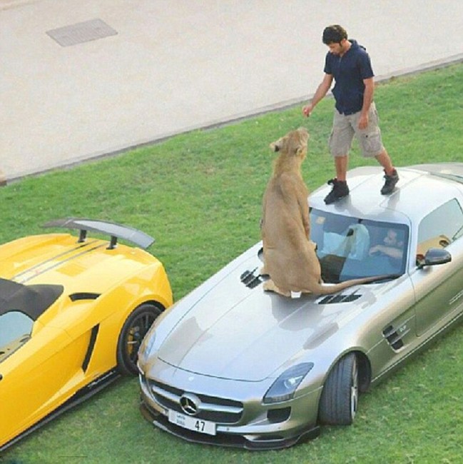 ???? ?????...?????? ????? ?????? ?? ????????? ??????? 