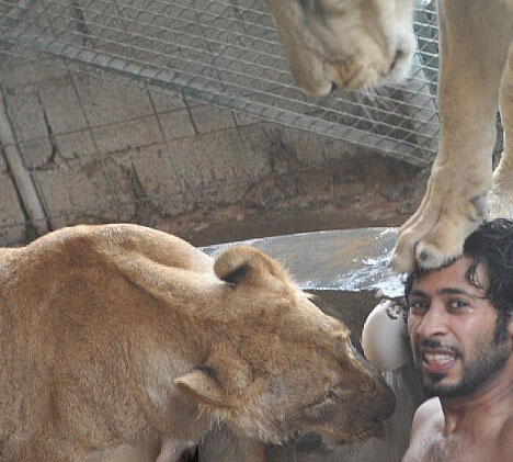 ???? ?????...?????? ????? ?????? ?? ????????? ??????? 