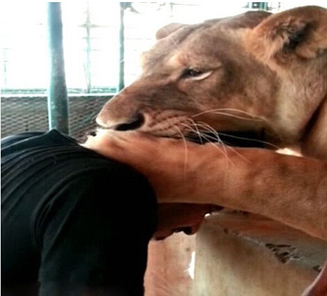 ???? ?????...?????? ????? ?????? ?? ????????? ??????? 