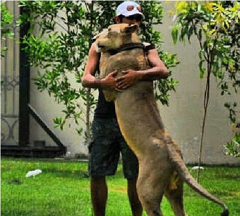 ???? ?????...?????? ????? ?????? ?? ????????? ??????? 