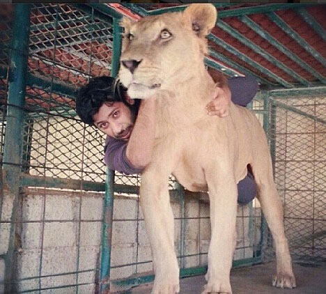 ???? ?????...?????? ????? ?????? ?? ????????? ??????? 