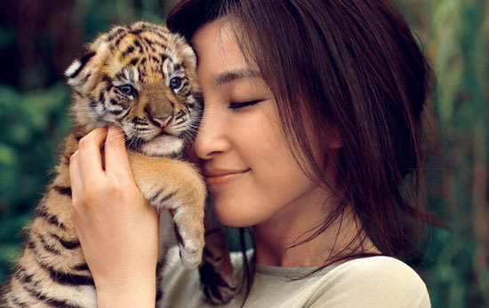 ???? ???? ??????? ????????? 