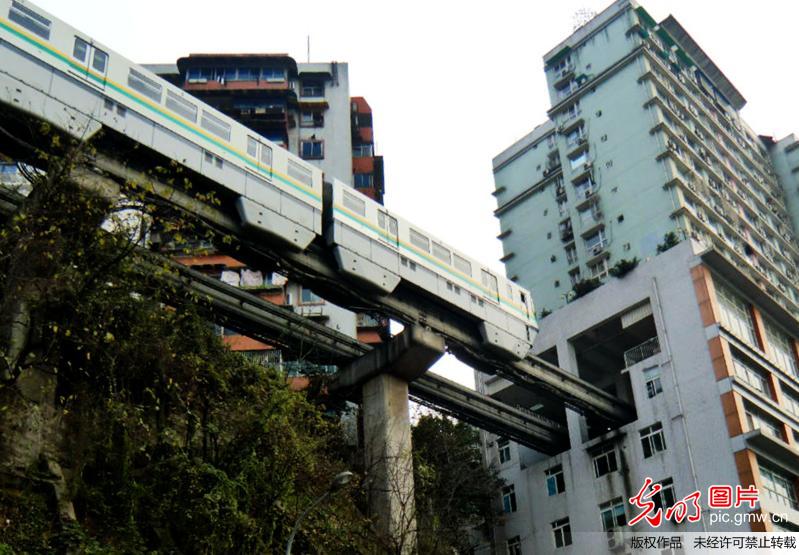 ???? ????.. ???? ????? ??? ?? ???? ????? ?????? ??????????    