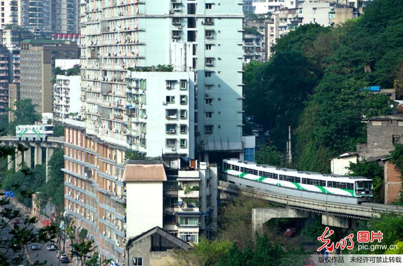 ???? ????.. ???? ????? ??? ?? ???? ????? ?????? ??????????    