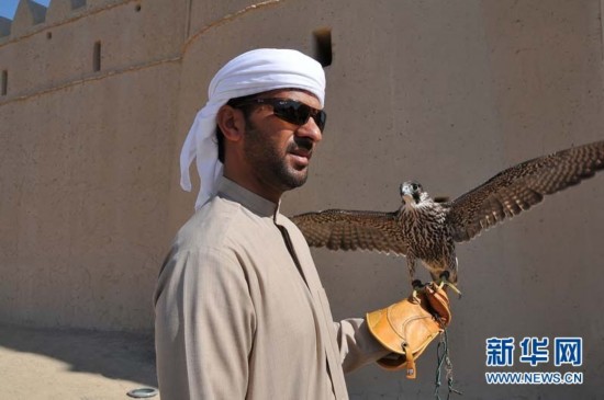 ?????? ?????.. ?????? ???? ????? ???? ?????? ?? ????????