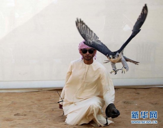 ?????? ?????.. ?????? ???? ????? ???? ?????? ?? ????????