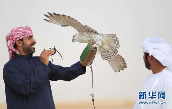 ?????? ?????.. ?????? ???? ????? ???? ?????? ?? ????????