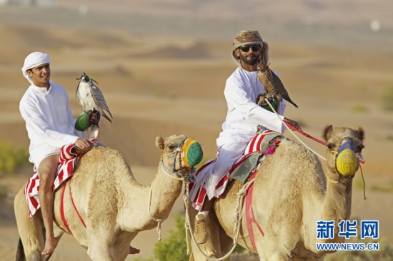 ?????? ?????.. ?????? ???? ????? ???? ?????? ?? ????????