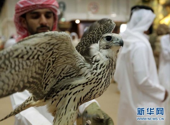 ?????? ?????.. ?????? ???? ????? ???? ?????? ?? ????????