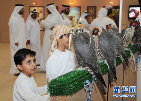 ?????? ?????.. ?????? ???? ????? ???? ?????? ?? ????????