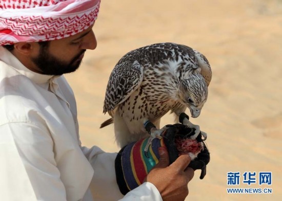 ?????? ?????.. ?????? ???? ????? ???? ?????? ?? ????????