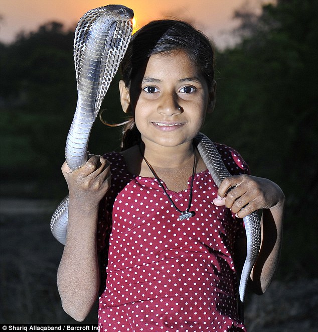 ???? ????? ???? ????? ?? ??????? ??????