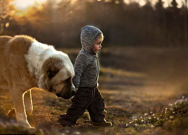 ????? ???????? ??????? ??? ??????? ???????