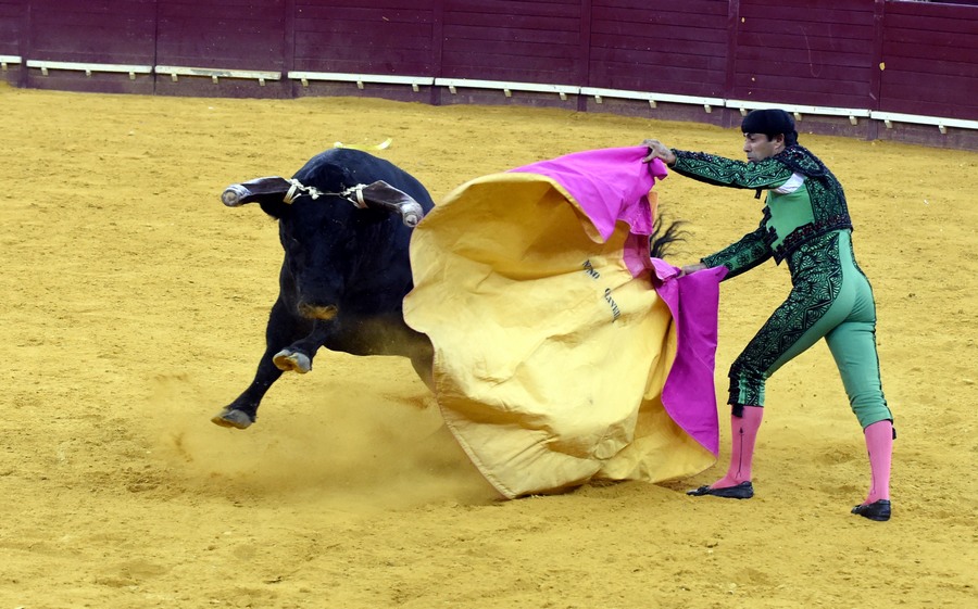 ????? ?????? ??????? ?? ???????? 