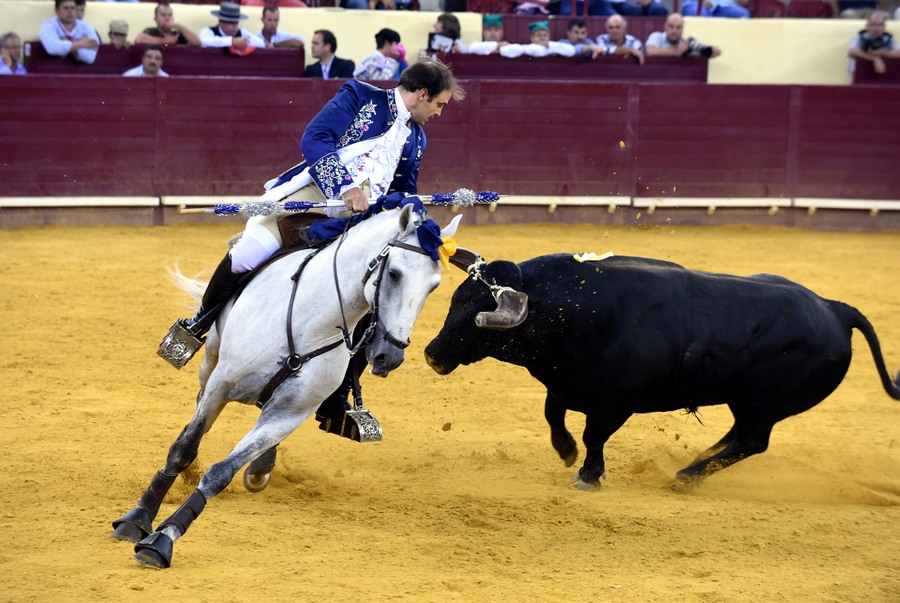 ????? ?????? ??????? ?? ???????? 