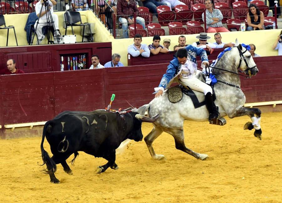 ????? ?????? ??????? ?? ???????? 