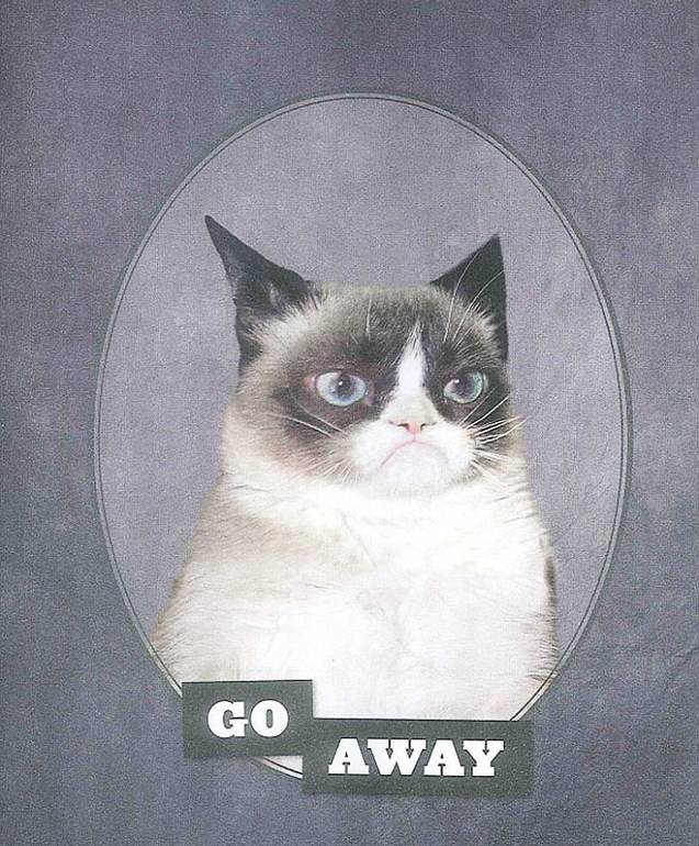 ???? ??? ?? ??????.. ????? ???? ?? 100 ????? ????? ??????