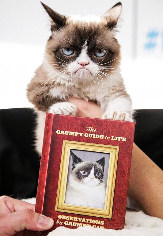 ???? ??? ?? ??????.. ????? ???? ?? 100 ????? ????? ??????