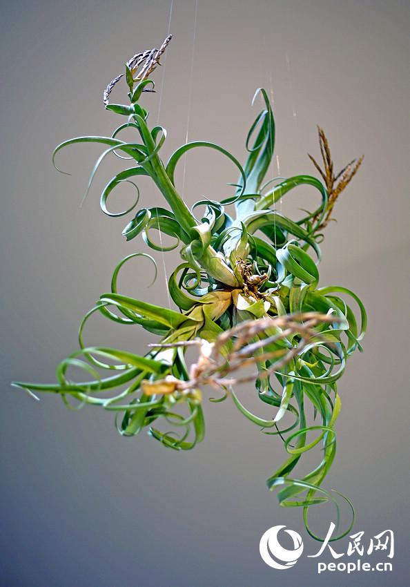 ????? ?? ?????? ????? ???? ?? ?????? ?????? ???????