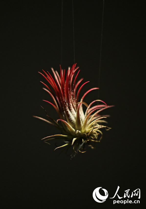 ????? ?? ?????? ????? ???? ?? ?????? ?????? ???????