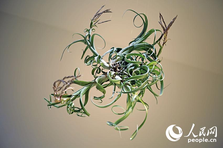 ????? ?? ?????? ????? ???? ?? ?????? ?????? ???????