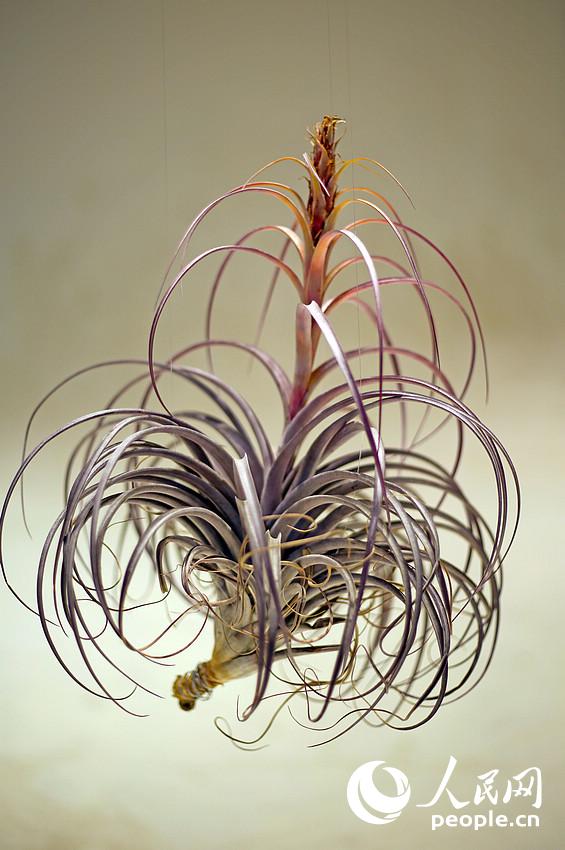 ????? ?? ?????? ????? ???? ?? ?????? ?????? ???????