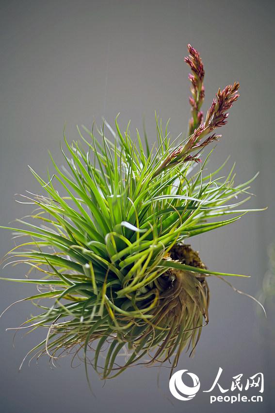 ????? ?? ?????? ????? ???? ?? ?????? ?????? ???????