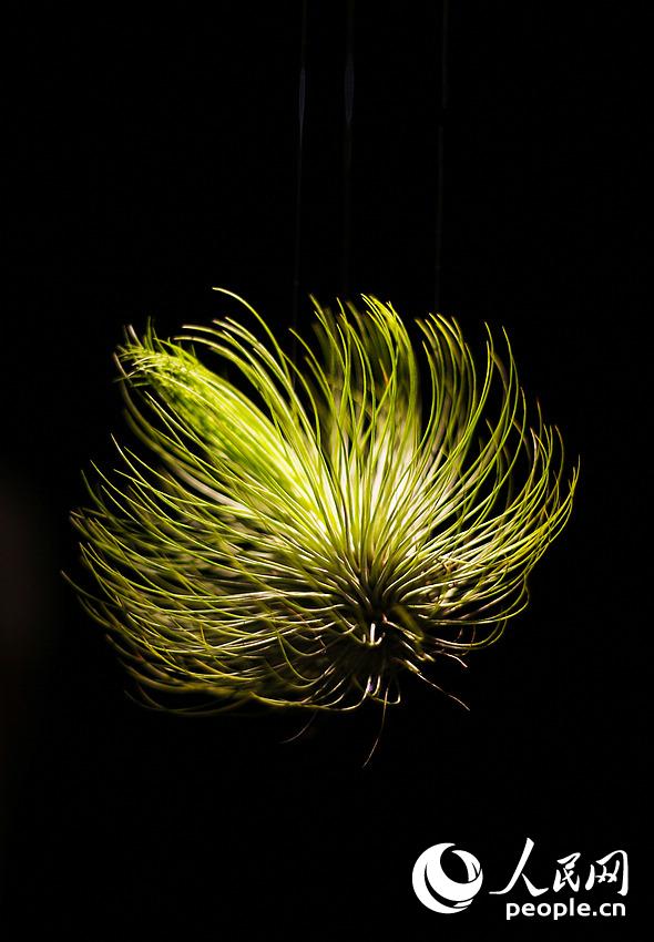 ????? ?? ?????? ????? ???? ?? ?????? ?????? ???????