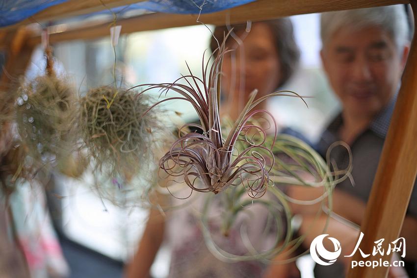 ????? ?? ?????? ????? ???? ?? ?????? ?????? ???????