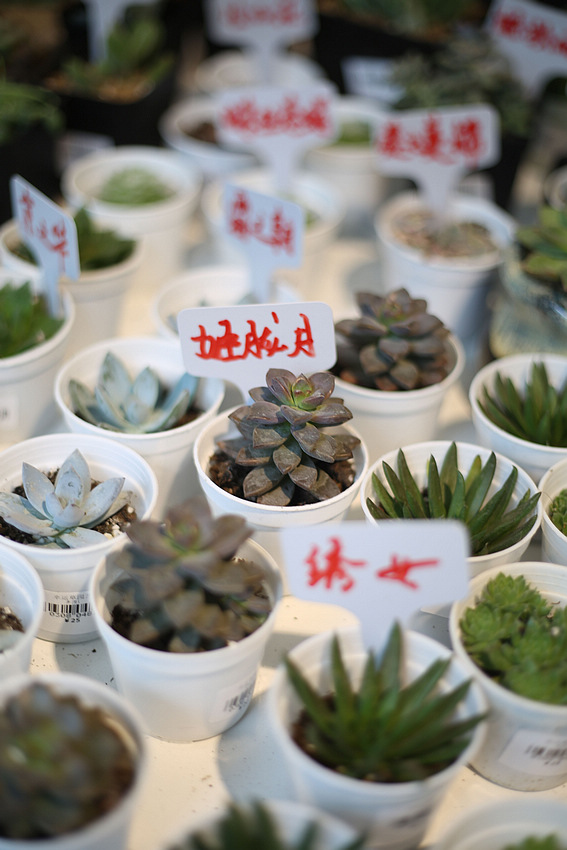 ????? ?? ?????? ????? ???? ?? ?????? ?????? ???????