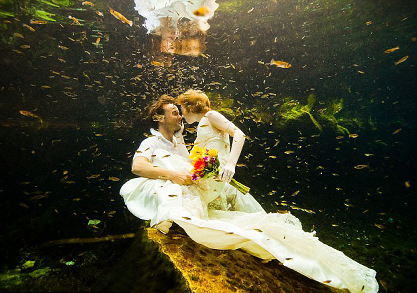 ??????? ??????????? ?????? 66 ??? ?????? ?? ??????? ???????? ????????