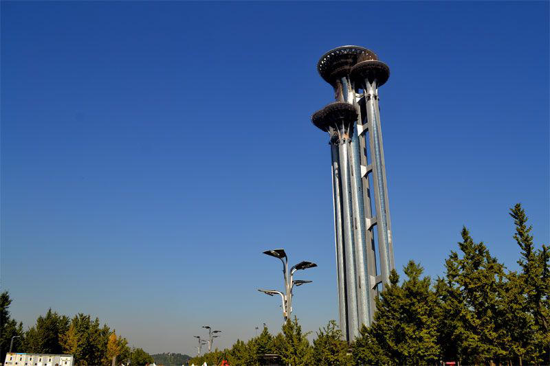 ???? ???? "??? ????????" ??????? 246 ???? 