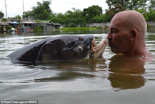 ???? ???? ?????? ???? ????? ???????