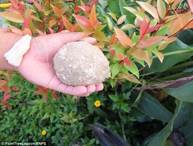 ???? ???? ?????? ???? ????? ???????