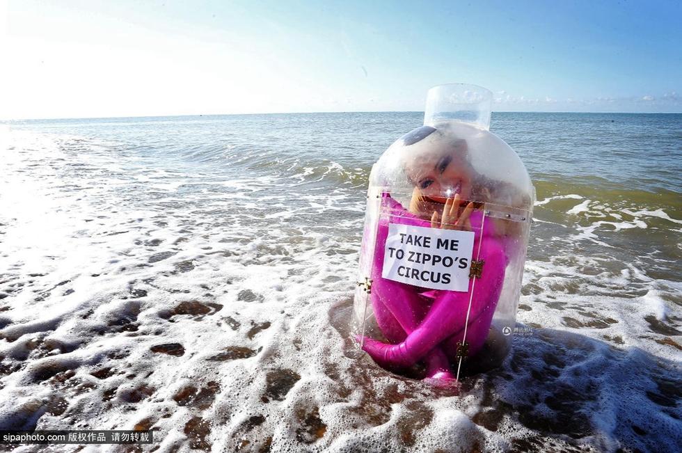 ?????.. ???? ???? ????? ?? ???? ??????? ??????