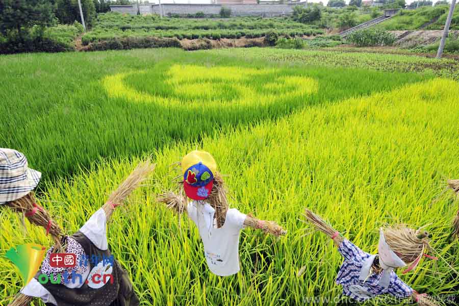 ???? ???? ????? ?????? " ??? ???????????" ?????? ??????? ???????