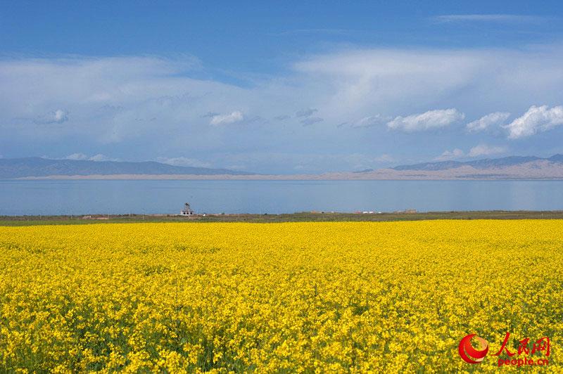 ????? ???????? ?? ????? ???? ??????