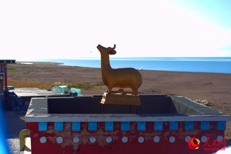 ????? ???????? ?? ????? ???? ??????