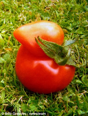 ????? ???...????? ??? ????? ????