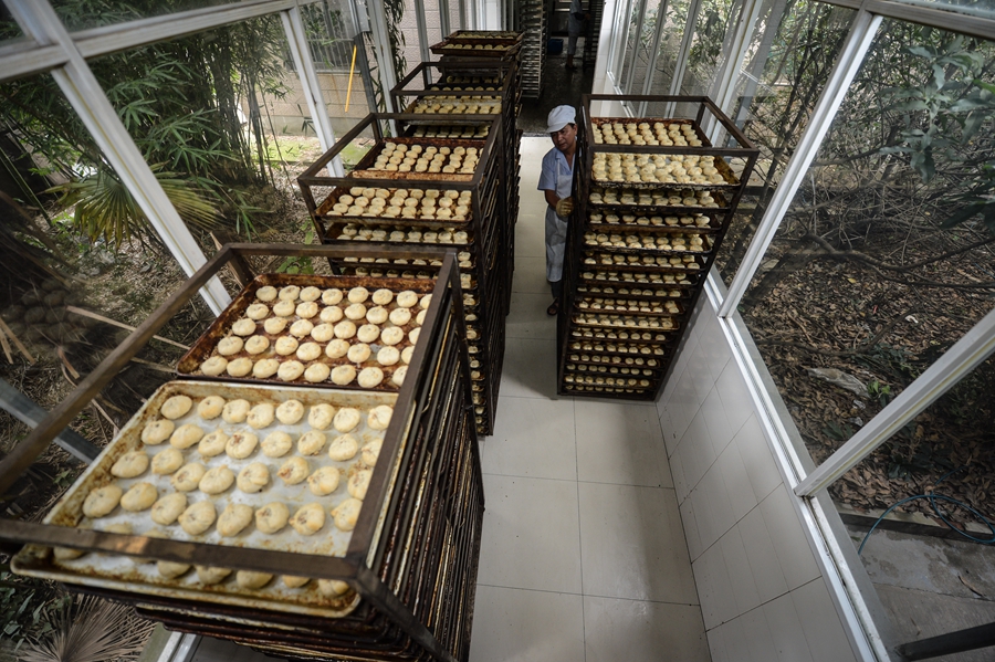 ??? "??? ???" ???? ?????? ????? ?? ?????? ??? ????? ????