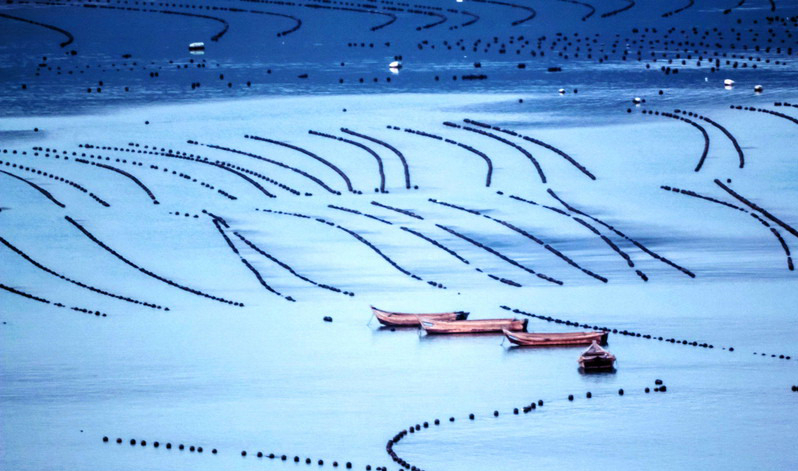 ????? ???????? ??????? ??????? ??????? ? ?????