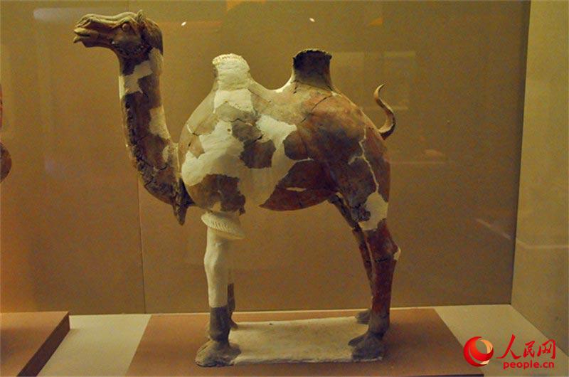 ???? ???????? - ??? ???? ??? ????? ???? ??????