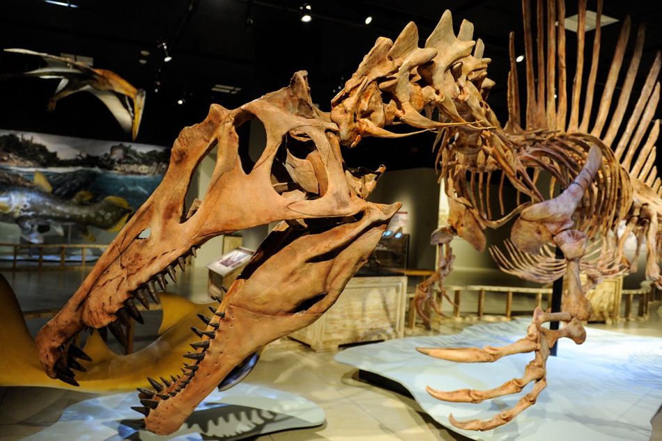 ?????? ??? ??? ??????? ???? ??? ?????