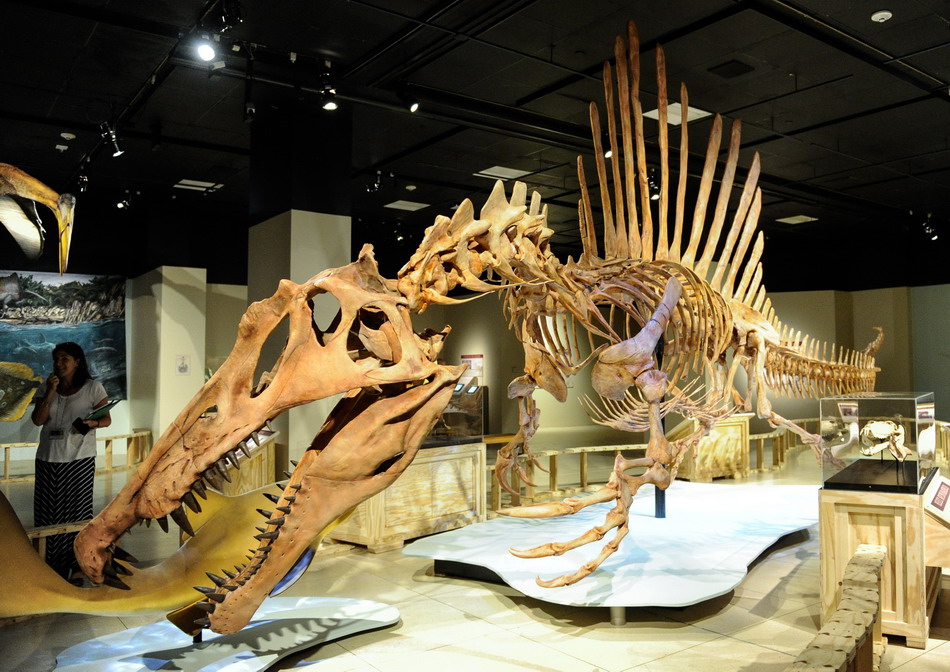 ?????? ??? ??? ??????? ???? ??? ?????