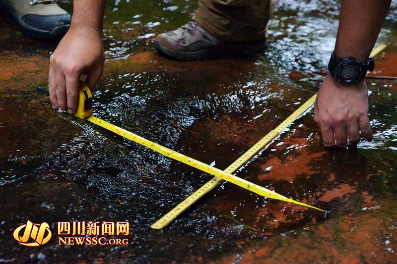 ?????? ??? ???? ?????  ????????? ???? ??? ??? ????? ??? ?? ?????