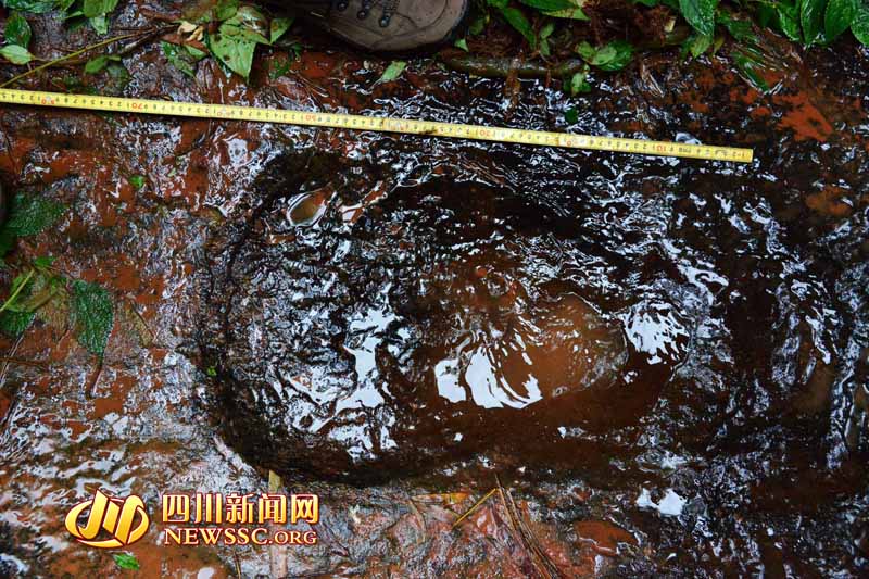 ?????? ??? ???? ?????  ????????? ???? ??? ??? ????? ??? ?? ?????